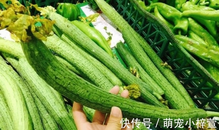 生物碱糖苷|“夏吃瓜、身体棒”，入夏后多吃这6种瓜，忌食1种“毒瓜”，健康度夏