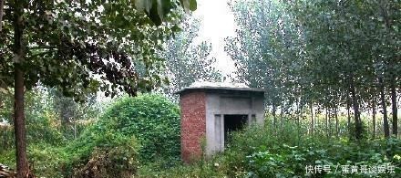 关中|曹玮让人接替镇守关中,王旦推荐大家不认可的李及,原来慧眼识人