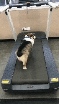 |搞笑GIF趣图:休想碰我男朋友!妹子你这也太快了吧!