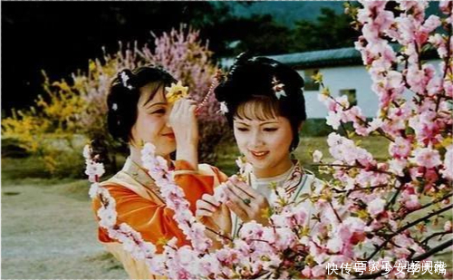 药方!红楼梦:癞头和尚为什么度林黛玉出家,而不度薛宝钗出家呢?