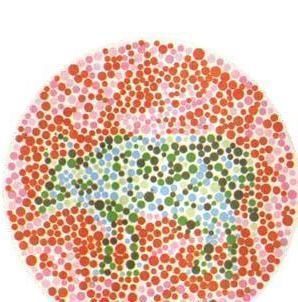 色盲色弱测试,图三看不出来,也别去报名学车了,浪费体检钱