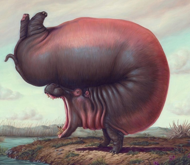 动物们&胆小谨点,插画师笔下的诡异动物看完一秒清醒!