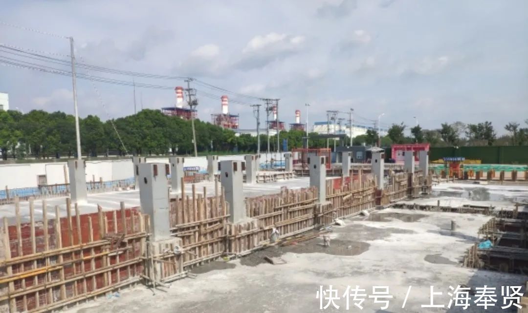 配套|一次性说清楚!金汇镇功能配套项目,时间点都在这了