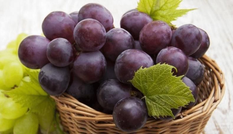 核桃|怀孕后,孕妈多吃这几种食物,不仅安胎,还能促进胎儿智力发育