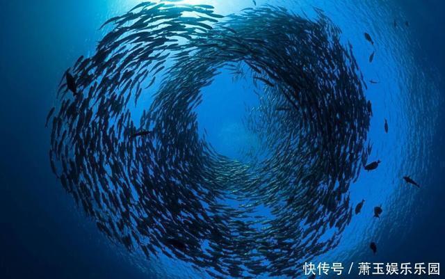 马里亚纳海沟 马里亚纳海沟到底有多深水是液态、还是固态,为什么