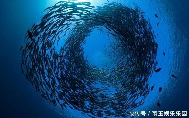 马里亚纳海沟 马里亚纳海沟到底有多深水是液态、还是固态，为什么