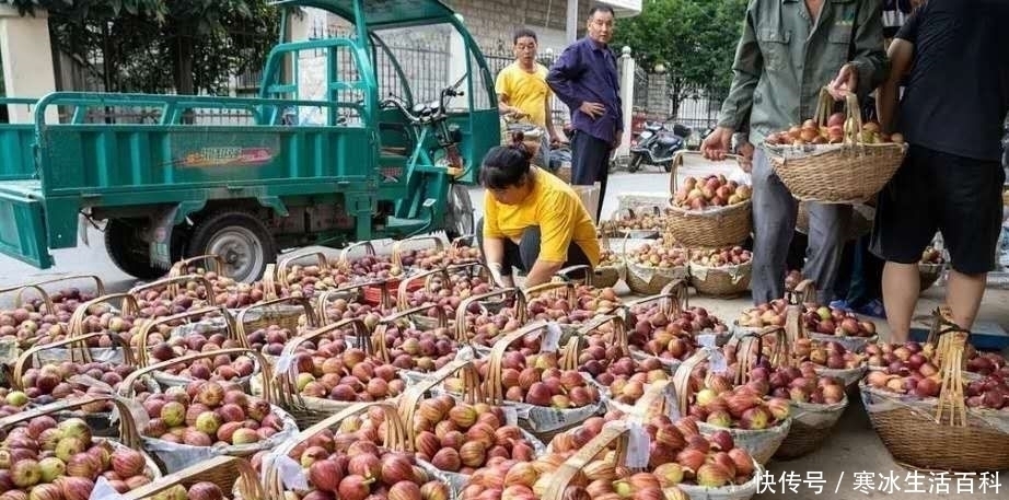 几年前20一斤难找到 ,现在5元一斤少人问,啥情况?