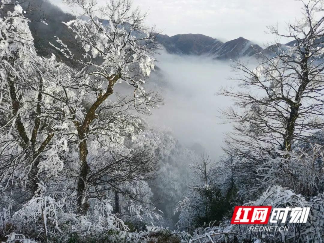 首场|城步南山风景名胜区迎来“首场雾凇美景”