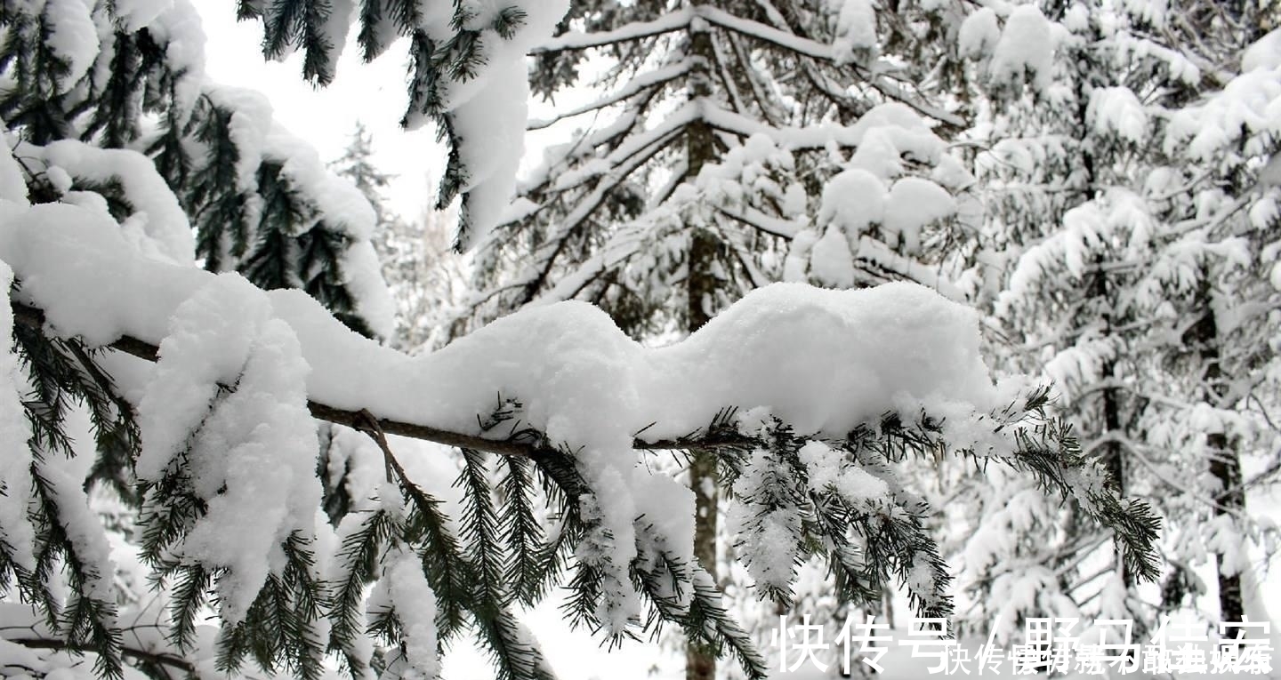 生僻字|刘长卿很简练的一首诗，没有引经据典，没有使用生僻字，同样写得很深刻