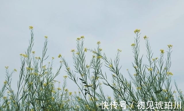 风雨|风雨兼程，再见旧爱，泪盈眼眶，挽回爱情，余生一生相守