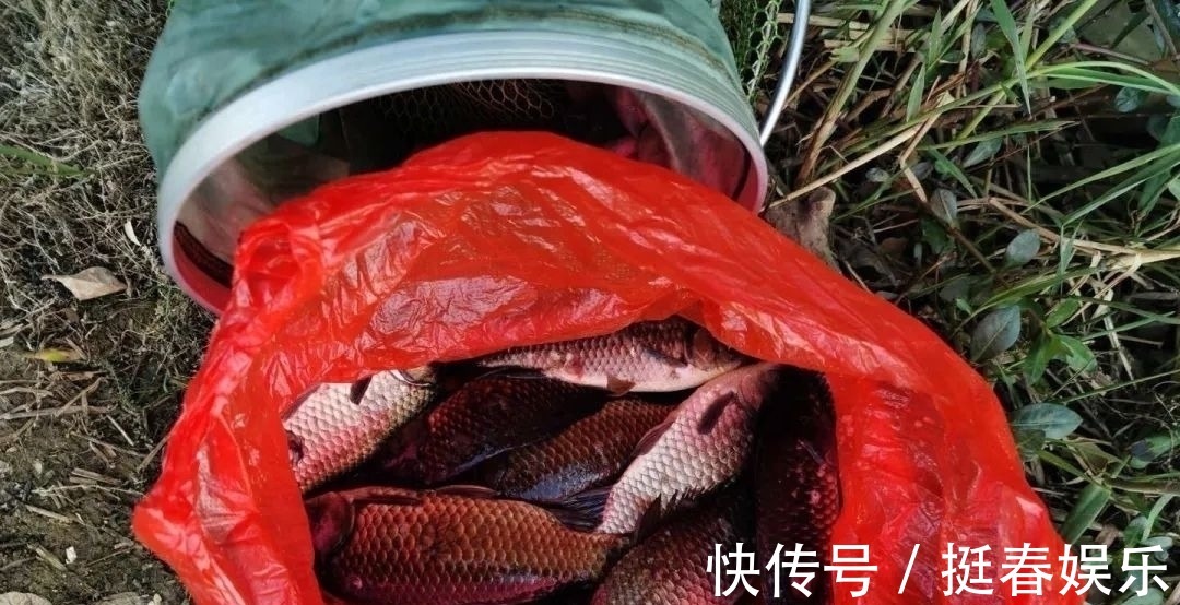 小鱼|小鱼闹窝?野钓用这几招,中钩的都是大板鲫
