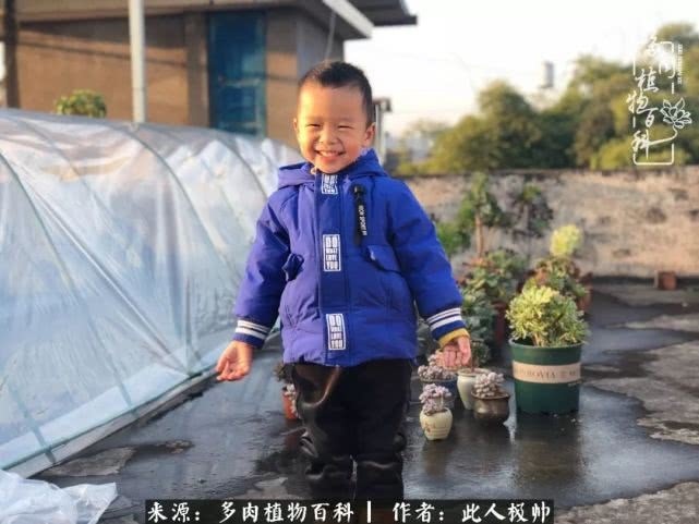 骄阳艳玫瑰，梦幻魔法师！独爱你的百媚千红！