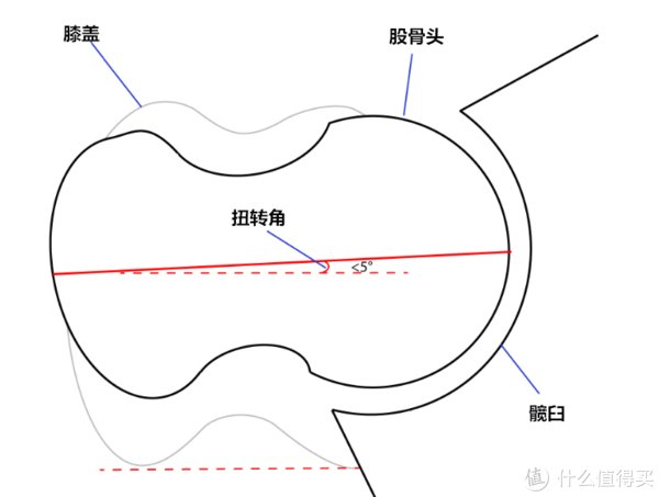 受试者|干货│如何正确找到完美的深蹲站距？