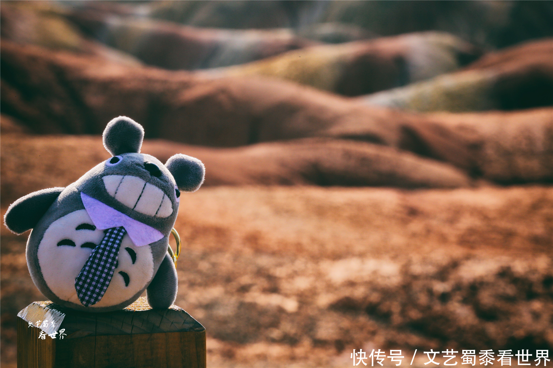 中年|承认吧！2021年你根本不敢一个人去旅行