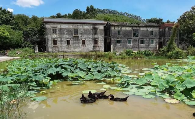 广东台山古舟岛旅居，寻味三泉湾、打卡靖安村、漫步海口埠广场