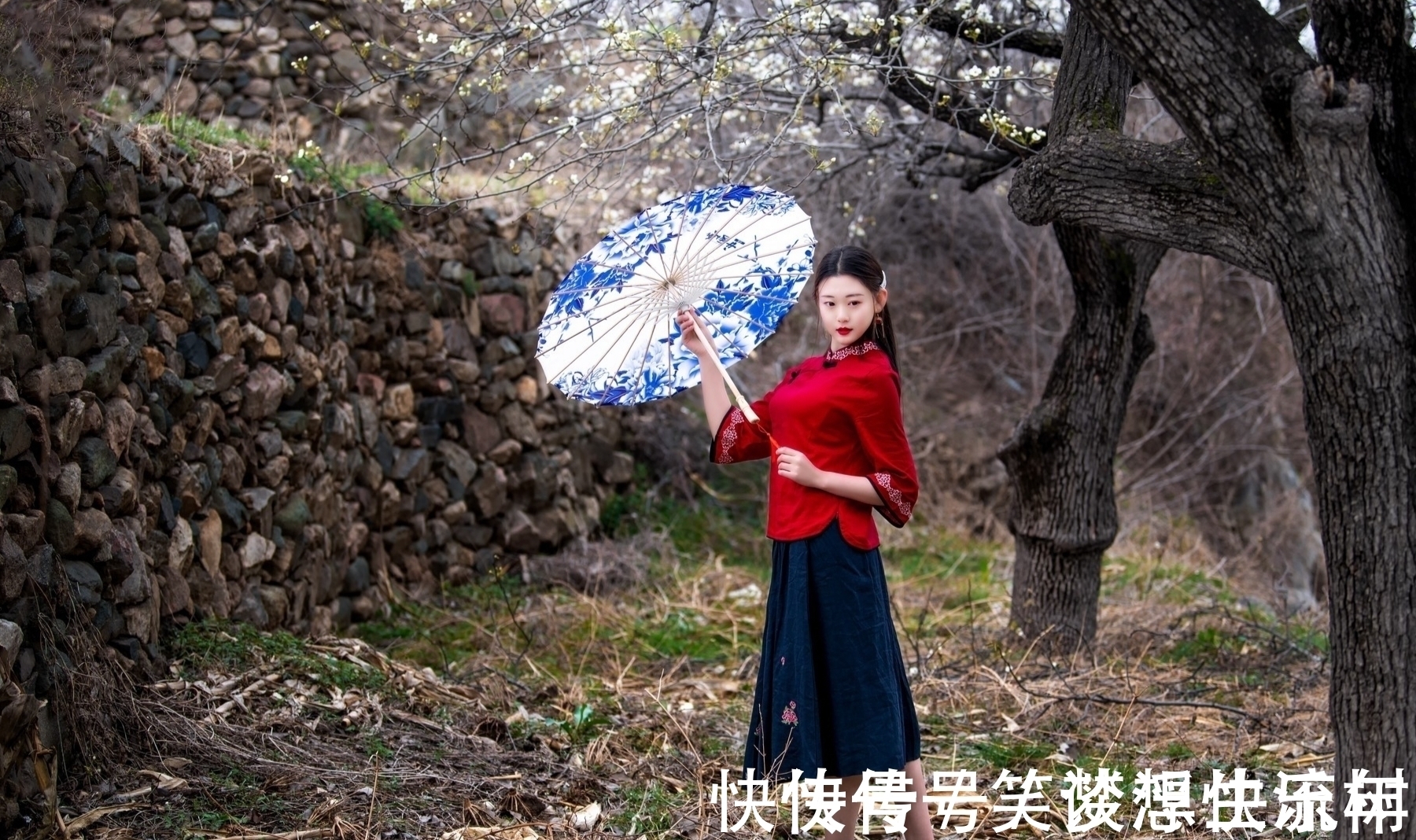 小雪@诗·八首丨横风瘦竹半窗月,玉影残枝一笔勾