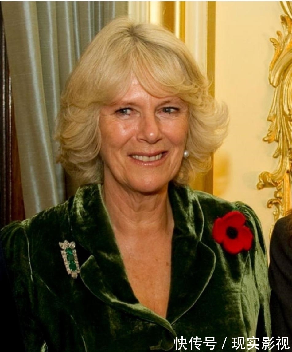 优雅|戴对胸针的卡米拉好美,一枚简约的祖母绿胸针,映衬的她优雅大气