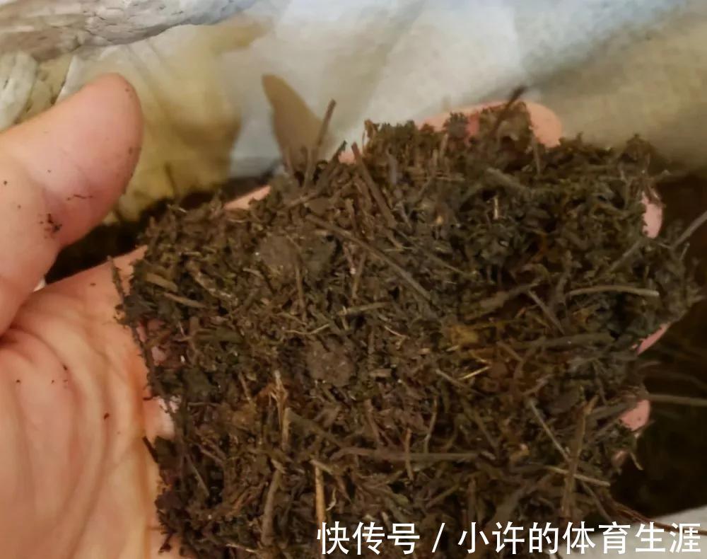 难怪你养不好花，身边宝贝都被你忽视了，看看如何使用吧