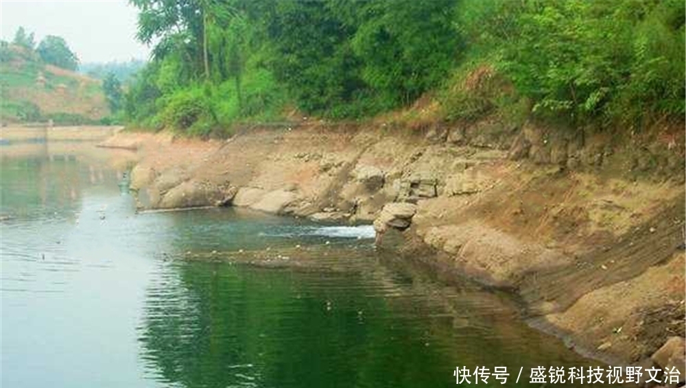 水温|夏至之前钓鱼,可以不钓深水,深水开阔鱼难找,不如浅水好找鱼窝