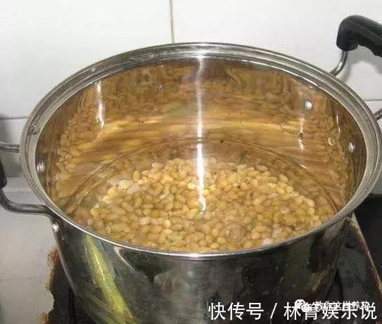 紫竹梅|3种吊兰别这么养，不然疯长爆芽，控制不住！