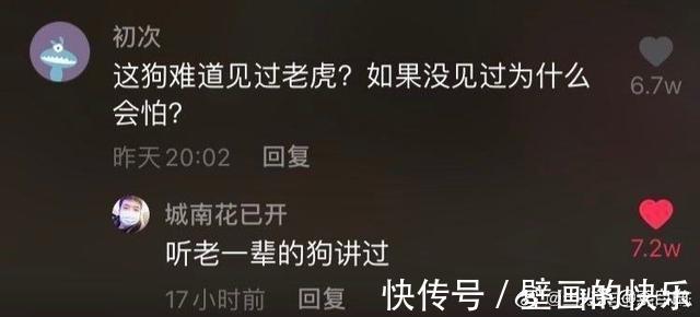 |有什么让人笑得停不下来的段子？