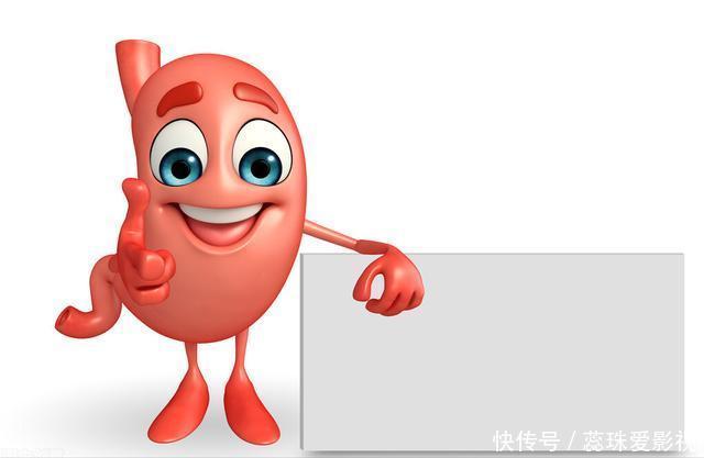 木香|这7个中成药,能将湿气从大便排出,健脾燥湿利水,恢复肠胃功能