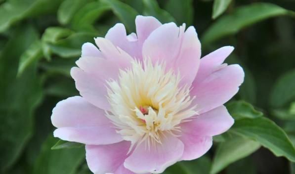 飞黄腾达&不善为人处世,背会这4句口诀,日后必定飞黄腾达