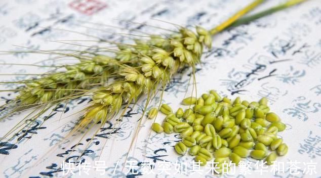 补气除热|一味不被人熟知的良药，李时珍却说它善于“补气除热、敛汗止汗”