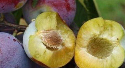 排毒养颜|想长寿得会吃，3种食物换着吃，帮助消化，增进食欲，谁吃谁健康