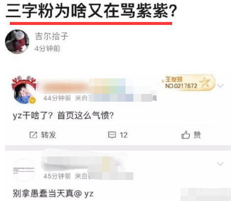 中餐厅|杨紫摸王俊凯脸被粉丝痛骂，当事人澄清正常互动不要过分解读！
