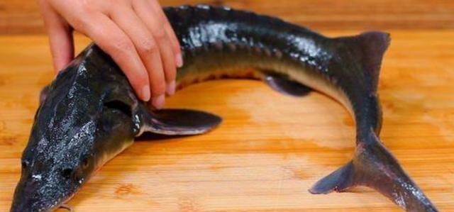 为何说中国把鱼子酱拉下“奢侈品”神坛看完哭笑不得,果然有实力