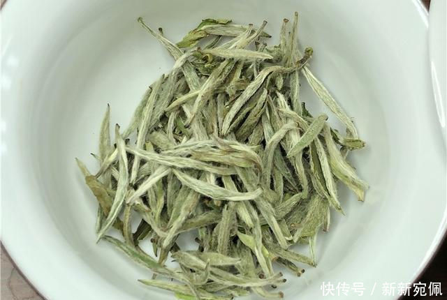 饮茶时,茶叶的第一泡水脏吗,有必要倒掉吗?