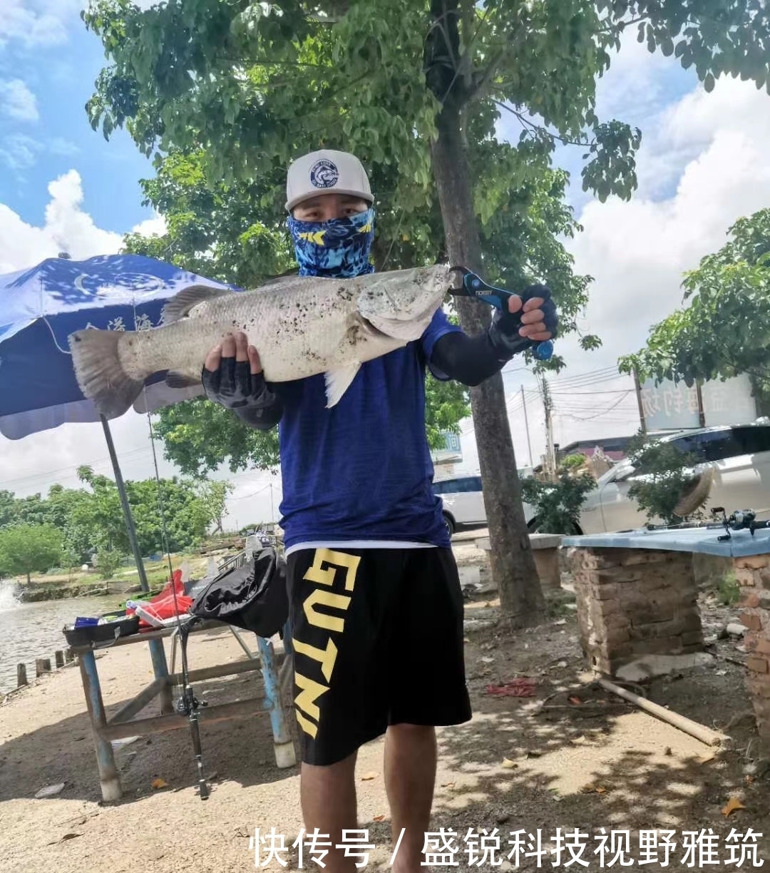 标点|初夏钓鱼总是没鱼?记住这3个简单“套路”,中鱼率提高不少