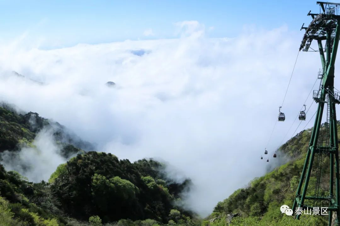 云海|云海浮波翻涌山水澹澹生烟