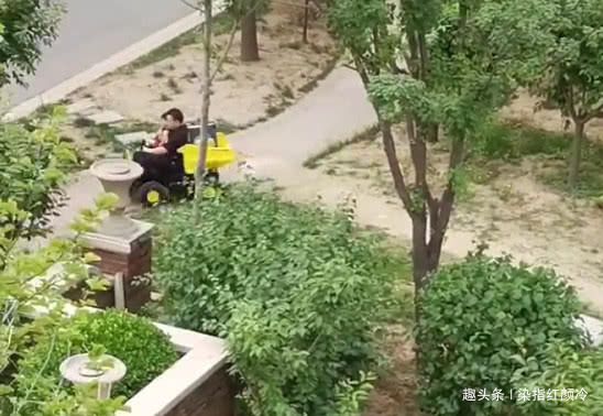 行李箱|奶爸载着行李箱带娃“离家出走”火了,网友车已买好,娃哪里领