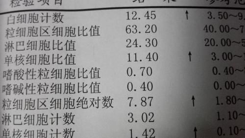 血常规|血常规可以看出是否患有癌细胞吗?听医生怎么说,不妨了解一下