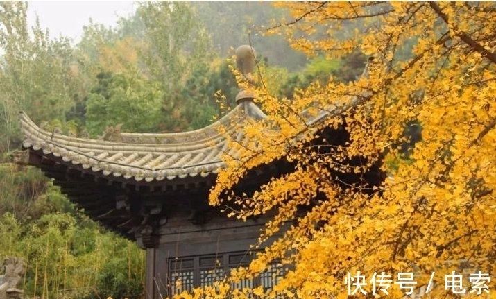 飞檐|飞檐:古建屋角上绝美的灵动