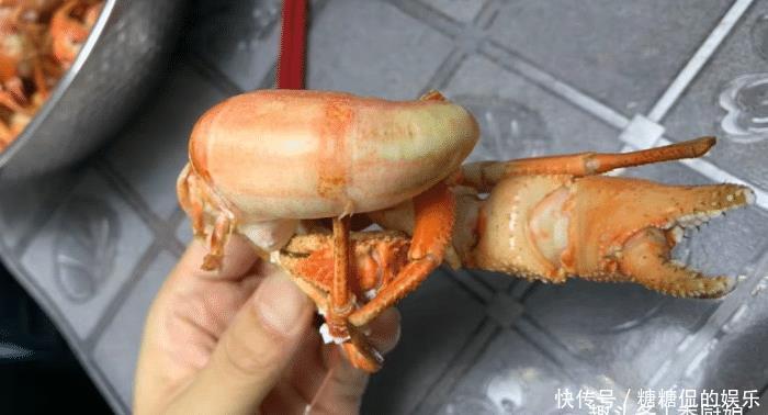 误认为是“大海螺”，花250块钱买6斤，回家上锅一蒸，太惊喜了