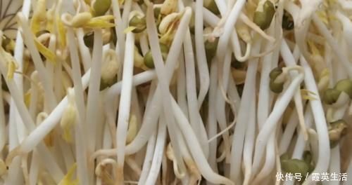 生豆芽|豆芽不用出门买,教你在家发,4天就能吃,又粗又壮好吃更安全
