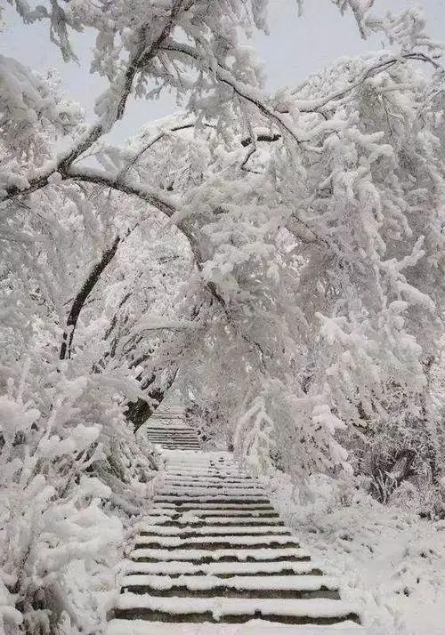 探秘幽深的历史隧道，重现风雨砥砺的传奇——阴平古道