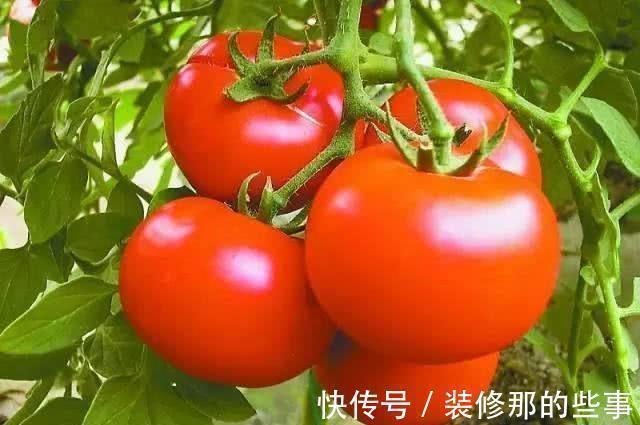 花色甙素|女性不想成老太婆,要坚持吃3种食物,美白护肤、滋润身体!