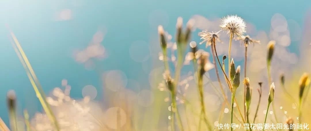 拥有|要拥有别人拿不走的东西