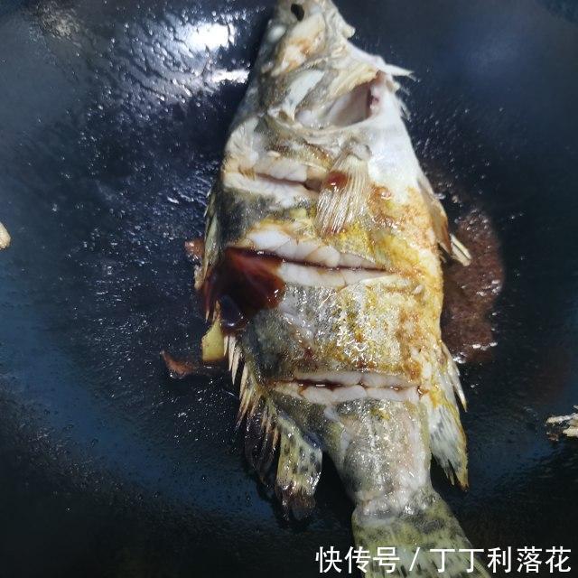 桂鱼|红烧桂鱼,鱼肉鲜嫩,十分下饭