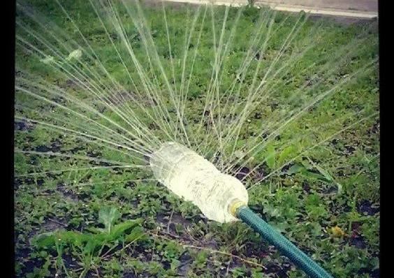 植物|没地种花种菜,没时间浇水几个塑料瓶就能解决,DIY变废为宝