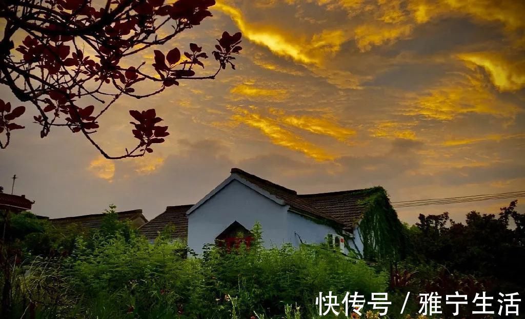 大花园|退休夫妻花4年改造自家老房,建3000㎡大花园,住在人间仙境里