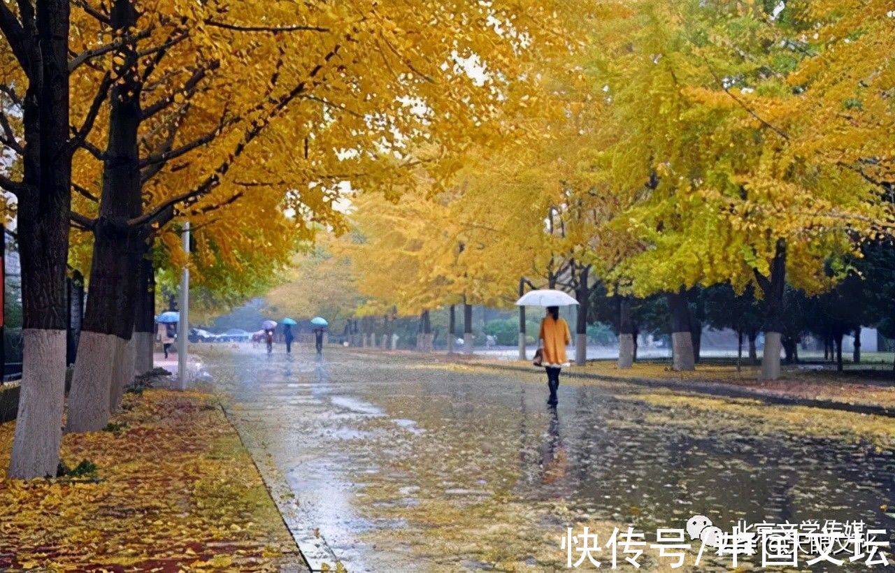 落在诗里的秋雨@散文《落在诗里的秋雨》寒嫣