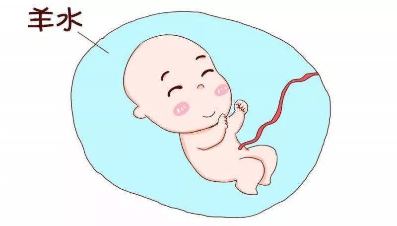 怀孕期间|顺产也是有门槛的,孕妈想顺产,先看看自己满不满足4个条件!