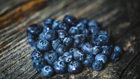 蓝莓好吃营养多教你挑选蓝莓的4个小窍门,保证新鲜味道美