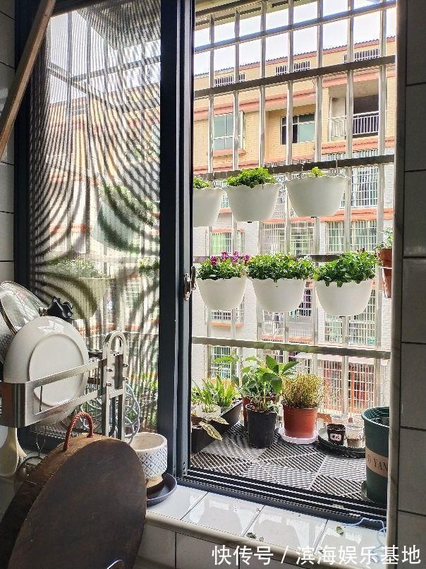 油烟|家里这两扇门,最好是经常关闭,有利于健康