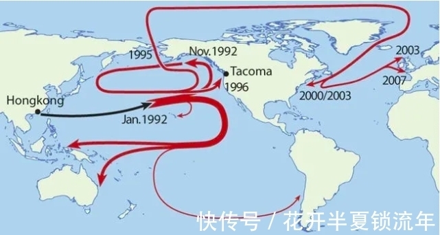 鸭子|在海上漂流15年的2万多只小黄鸭，能给我们带来什么海洋知识？